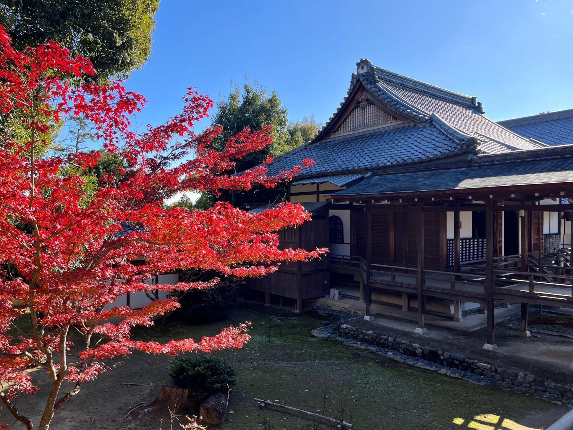嵐山 天龍の宿 駐車無料 一棟貸切 最大5人 Dragon Legend Arashiyama Central Private Rare Modern Villa Free Parking Max 5Ppl Shimosaga Exterior photo
